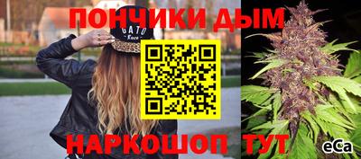 первитин Можга