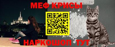 стафф Моздок