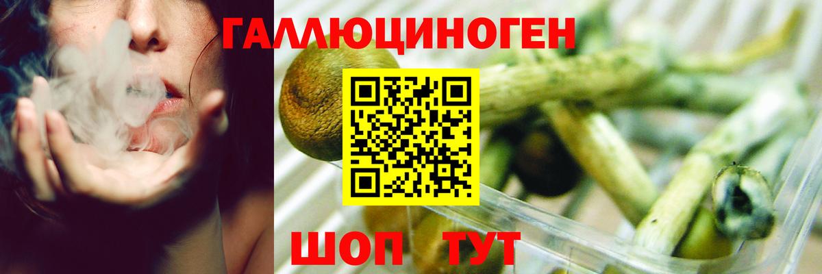 Псилоцибиновые грибы Psilocybine cubensis  Псилоцибиновые грибы MAGIC MUSHROOMS  Вход с VPN  Хабаровск 